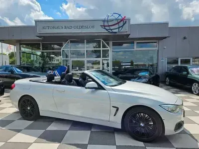 Occasion BMW 435 Sport Line 313 ch (230 kW) 2014 Blanc Cabriolet