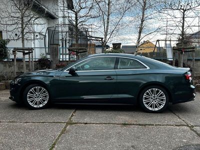 gebraucht Audi A5 Coupé 3.0 TDI sport quattro