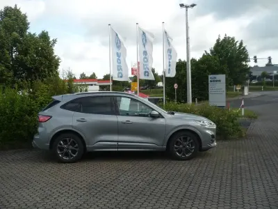 Gebraucht Ford Kuga ST-Line X 150 PS (110 kW) 2024 Silber SUV