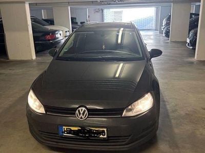 Gebraucht VW Golf VII Comfortline 110 PS (80 kW) 2014 Grau Kombi