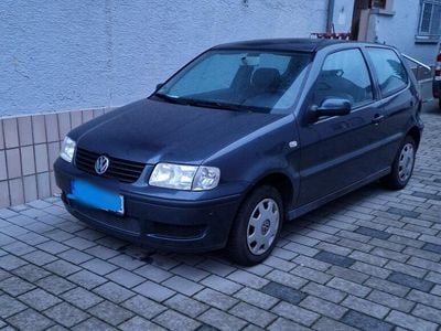 VW Polo