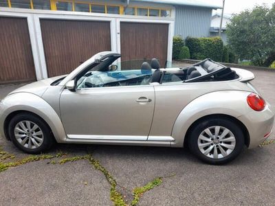 VW Beetle