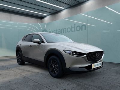 Gebraucht Mazda CX-30 Sky 186 PS (136 kW) 2024 Beige SUV