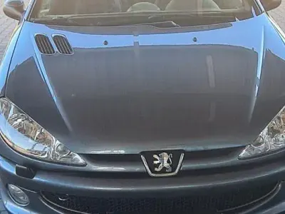 Gebraucht Peugeot 206 CC Sport 109 PS (80 kW) 2005 Grau Cabrio