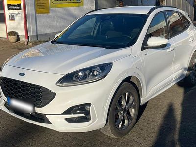 Usata Ford Kuga ST-Line X 152 CV (111 kW) 2024 SUV