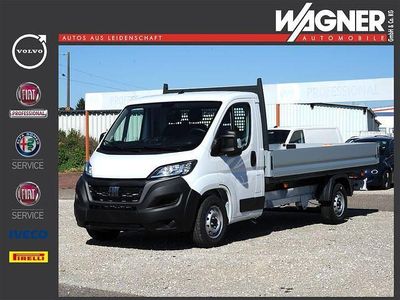 Gebraucht Fiat Ducato 177 PS (130 kW) 2024 Van
