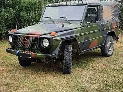 Gebraucht Mercedes G250 125 PS (91 kW) 1992 Grün SUV
