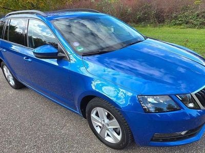 Gebraucht Skoda Octavia G-TEC Ambition 131 PS (96 kW) 2019 Blau Kombi