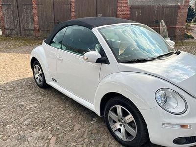 VW Beetle