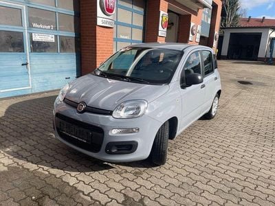Gebraucht Fiat Panda 69 PS (50 kW) 2022 Grau Kleinwagen