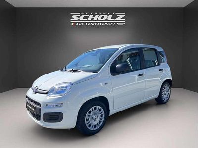 Nouă Fiat Panda Icon 65 CP (47 kW) 2026 Alb Hatchback