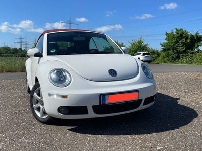 VW Beetle