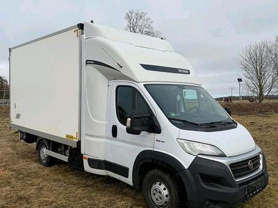 Gebraucht Fiat Ducato 2019 Van