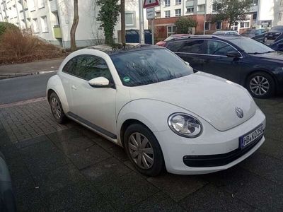 VW Beetle