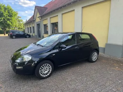 Gebraucht Fiat Punto Young 69 PS (50 kW) 2014 Schwarz Kleinwagen