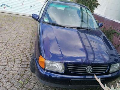 VW Polo