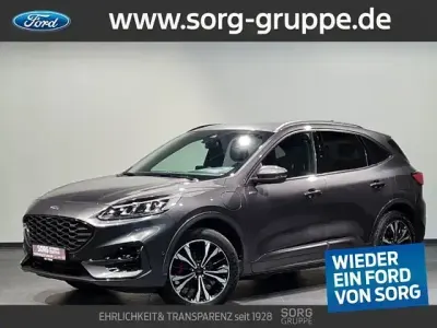 Gebraucht Ford Kuga ST-Line X 224 PS (164 kW) 2023 Magnetic metallic SUV