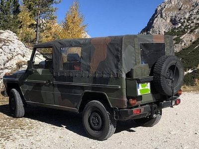 Grün Gebraucht 1993 Mercedes G250 SUV | 29.990 €