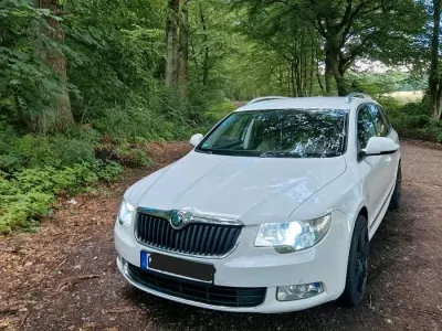 Gebraucht Skoda Superb Elegance 160 PS (117 kW) 2009 Weiß Kombi