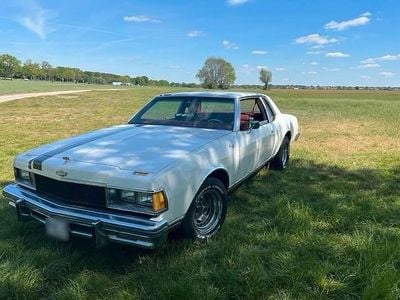 Gebraucht Chevrolet Caprice 170 PS (125 kW) 1977 Weiß Limousine