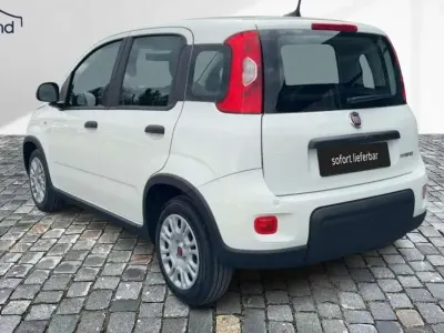 Gebraucht Fiat Panda 71 PS (52 kW) 2024 Gelatoweiss Kleinwagen