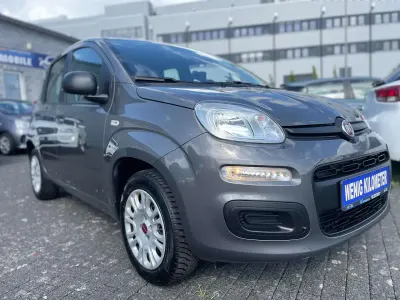 Occasion Fiat Panda Easy 69 ch (50 kW) 2020 Gris Citadine