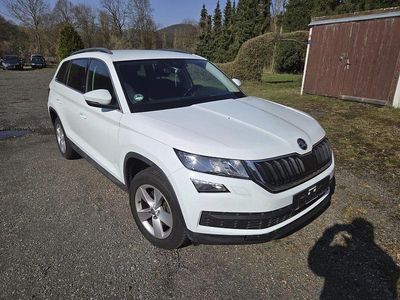 Gebraucht Skoda Kodiaq Ambition 150 PS (110 kW) 2018 Weiß SUV