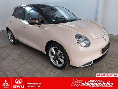 Gebraucht Ora 03 125 kW (171 PS) 2024 Beige Kleinwagen
