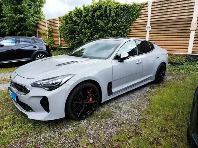 Brugt Kia Stinger