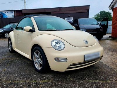 VW Beetle