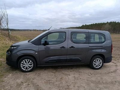 Gebraucht Citroën Berlingo Live 110 PS (80 kW) 2019 Grau Van / Kleinbus