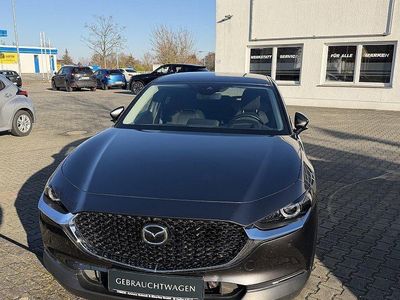 Gebraucht 2022 Mazda CX-30 Selection SUV | 22.500 € (Fairer Preis)
