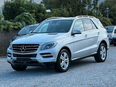 Mercedes ML250