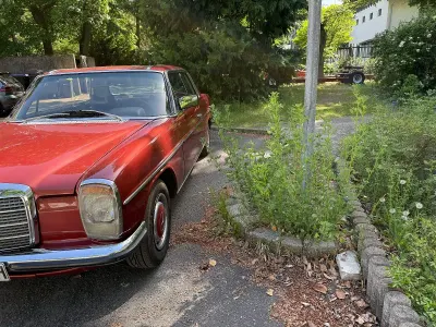 Gebraucht Mercedes 280 185 PS (136 kW) 1974 Rot Coupé