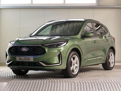 Usata Ford Kuga ST-Line X 152 CV (111 kW) 2025 Verde SUV