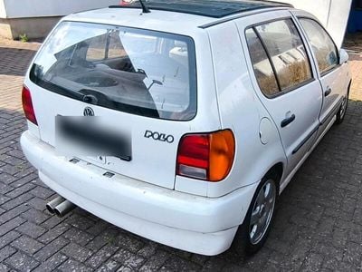 VW Polo