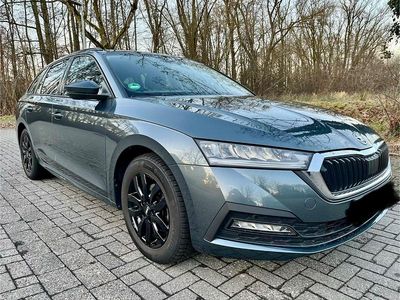 Gebraucht Skoda Octavia Ambition 150 PS (110 kW) 2020 Grau Kombi