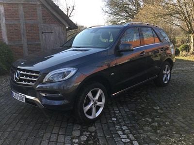 Gebraucht Mercedes ML250 204 PS (150 kW) 2015 Grau SUV
