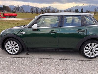 Gebraucht Mini Cooper 136 PS (100 kW) 2017 Grün Kleinwagen