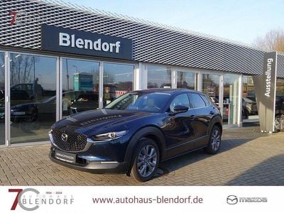 Gebraucht Mazda CX-30 Active 150 PS (110 kW) 2023 Deep crystal blue SUV