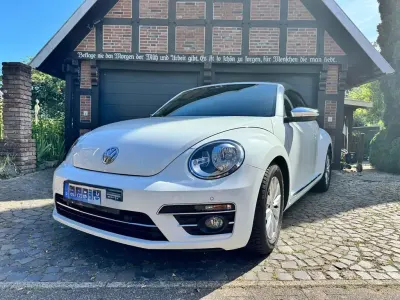 Gebraucht VW Beetle