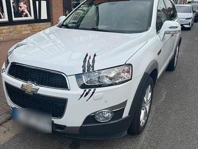 Gebraucht Chevrolet Captiva 184 PS (135 kW) 2013 Weiß SUV