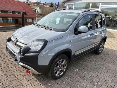 Gebraucht Fiat Panda Cross Cross 86 PS (63 kW) 2019 Grau Kleinwagen