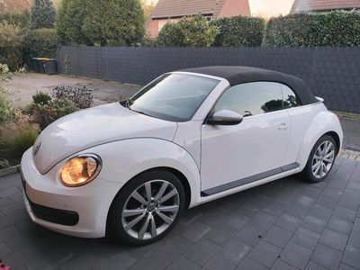 VW Beetle