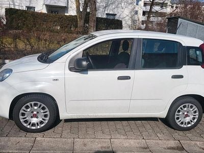 Gebraucht Fiat Panda 69 PS (50 kW) 2021 Weiß Kleinwagen