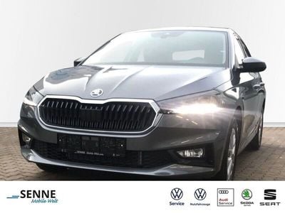 Gebraucht Skoda Fabia Selection 95 PS (69 kW) 2024 Grau Kleinwagen