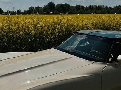 Beige Gebraucht 1980 Corvette C3 Cabrio | 23.000 €