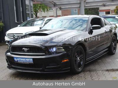 gebraucht Ford Mustang GT 3.7*COUPE*LEDER*6GANG* OPTIK*XENON!