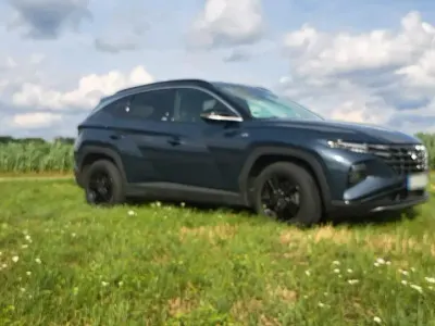 Gebraucht Hyundai Tucson 179 PS (131 kW) 2021 Blau SUV