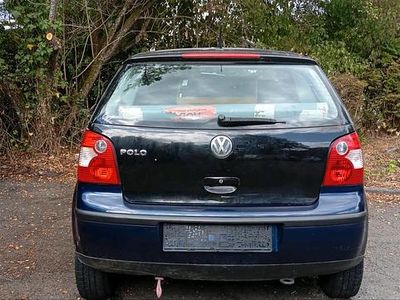 VW Polo